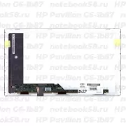 Матрица для ноутбука HP Pavilion G6-1b87 (1366x768 HD) TN, 40pin, Матовая