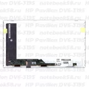 Матрица для ноутбука HP Pavilion DV6-3195 (1366x768 HD) TN, 40pin, Матовая