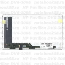 Матрица для ноутбука HP Pavilion DV6-3066 (1366x768 HD) TN, 40pin, Глянцевая