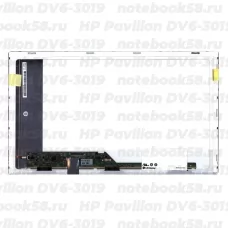 Матрица для ноутбука HP Pavilion DV6-3019 (1366x768 HD) TN, 40pin, Матовая