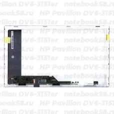 Матрица для ноутбука HP Pavilion DV6-3151er (1366x768 HD) TN, 40pin, Матовая