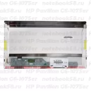 Матрица для ноутбука HP Pavilion G6-1075er (1366x768 HD) TN, 40pin, Матовая