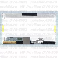 Матрица для ноутбука HP Pavilion DV6-3092 (1366x768 HD) TN, 40pin, Матовая