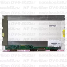 Матрица для ноутбука HP Pavilion DV6-3022sr (1366x768 HD) TN, 40pin, Матовая