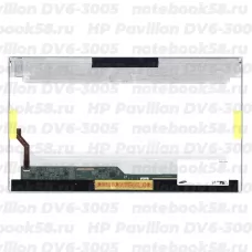 Матрица для ноутбука HP Pavilion DV6-3005 (1366x768 HD) TN, 40pin, Глянцевая