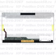 Матрица для ноутбука HP Pavilion DV6-3067 (1366x768 HD) TN, 40pin, Глянцевая