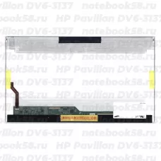 Матрица для ноутбука HP Pavilion DV6-3137 (1366x768 HD) TN, 40pin, Глянцевая