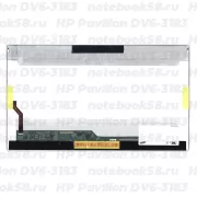 Матрица для ноутбука HP Pavilion DV6-3183 (1366x768 HD) TN, 40pin, Глянцевая