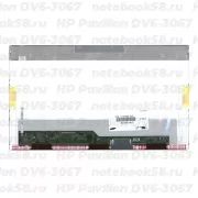 Матрица для ноутбука HP Pavilion DV6-3067 (1366x768 HD) TN, 40pin, Глянцевая