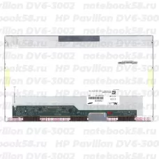 Матрица для ноутбука HP Pavilion DV6-3002 (1366x768 HD) TN, 40pin, Глянцевая