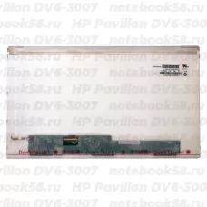 Матрица для ноутбука HP Pavilion DV6-3007 (1366x768 HD) TN, 40pin, Матовая