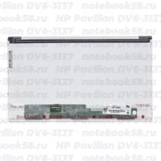 Матрица для ноутбука HP Pavilion DV6-3137 (1366x768 HD) TN, 40pin, Матовая