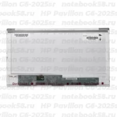 Матрица для ноутбука HP Pavilion G6-2025sr (1366x768 HD) TN, 40pin, Глянцевая