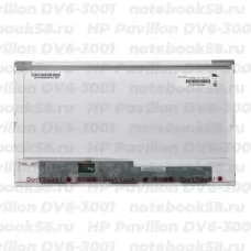 Матрица для ноутбука HP Pavilion DV6-3001 (1366x768 HD) TN, 40pin, Глянцевая