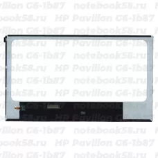 Матрица для ноутбука HP Pavilion G6-1b87 (1366x768 HD) TN, 40pin, Глянцевая