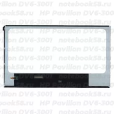 Матрица для ноутбука HP Pavilion DV6-3001 (1366x768 HD) TN, 40pin, Глянцевая