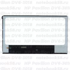 Матрица для ноутбука HP Pavilion DV6-3018 (1366x768 HD) TN, 40pin, Глянцевая