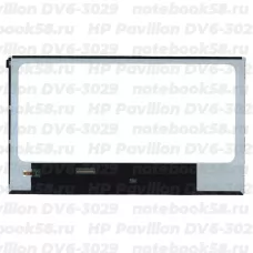 Матрица для ноутбука HP Pavilion DV6-3029 (1366x768 HD) TN, 40pin, Глянцевая