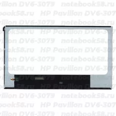 Матрица для ноутбука HP Pavilion DV6-3079 (1366x768 HD) TN, 40pin, Глянцевая